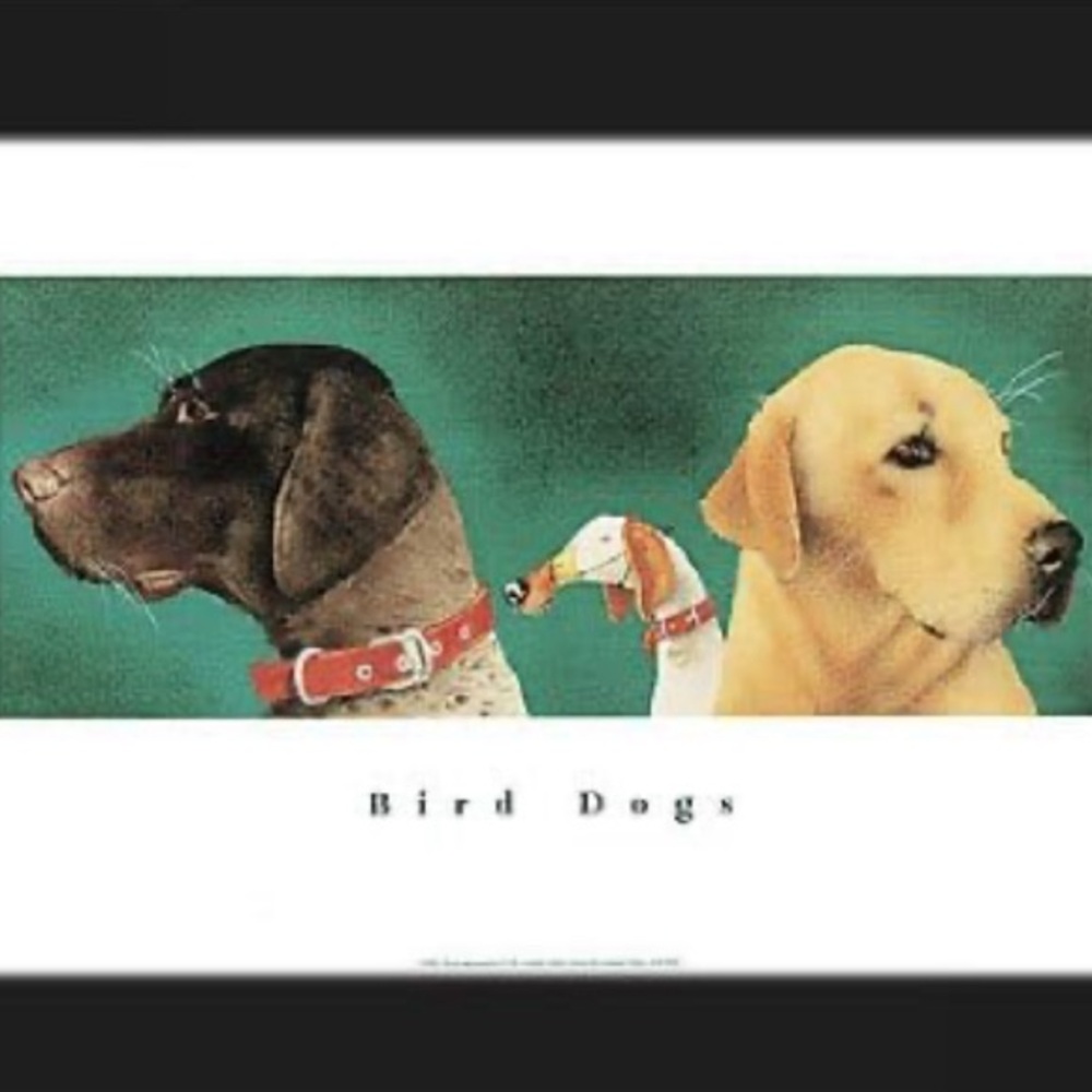 NWT Vintage 1992 Will Bullas UN Framed Art Print 11” X 18” "Bird Dogs"